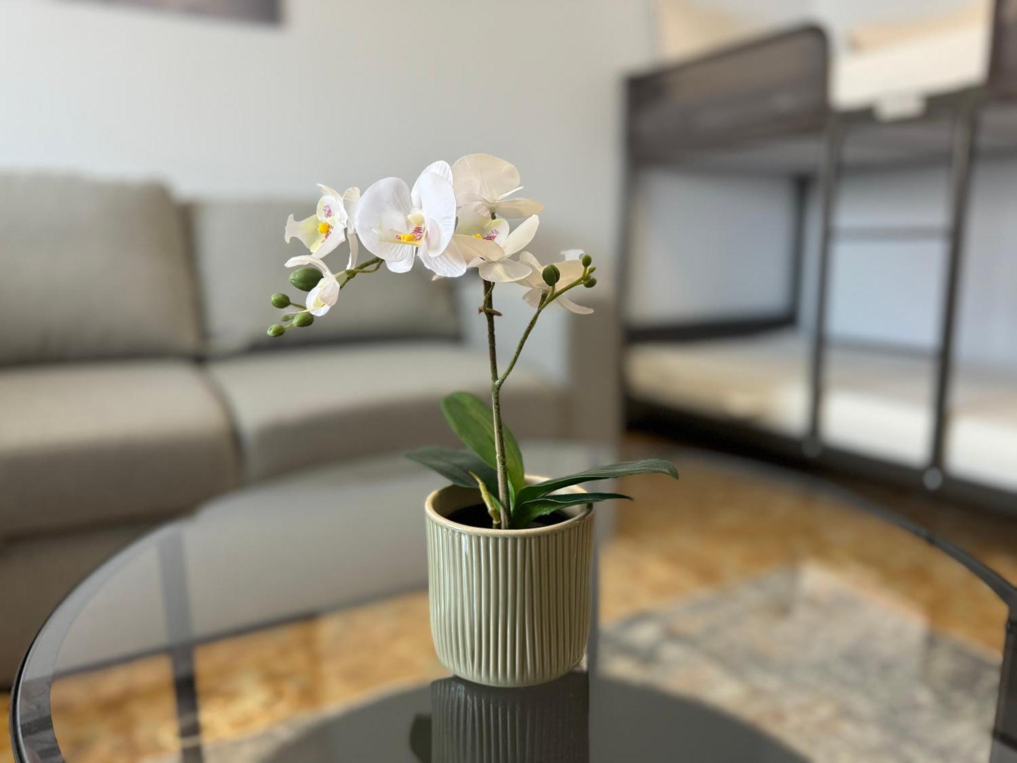 Casa Albenga Apartment Ngoại thất bức ảnh